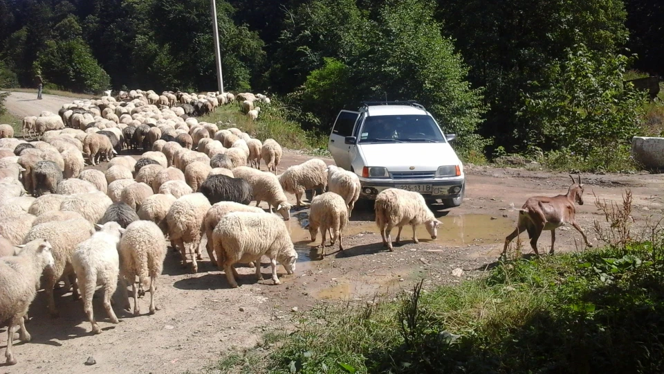 Opel Kadett GL 2