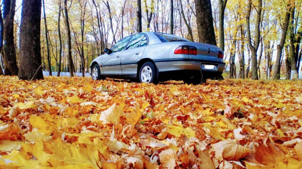 Opel Omega 3.0 MV6 4