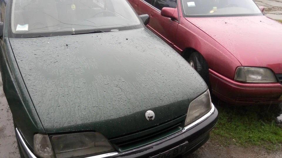 Opel Omega Green КрокоDile 5