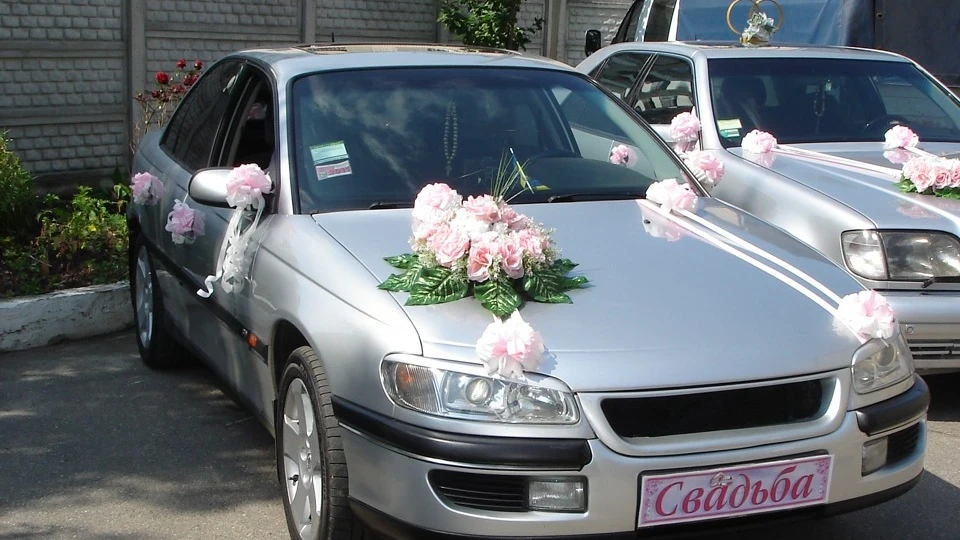 Opel Omega (Ластівка)