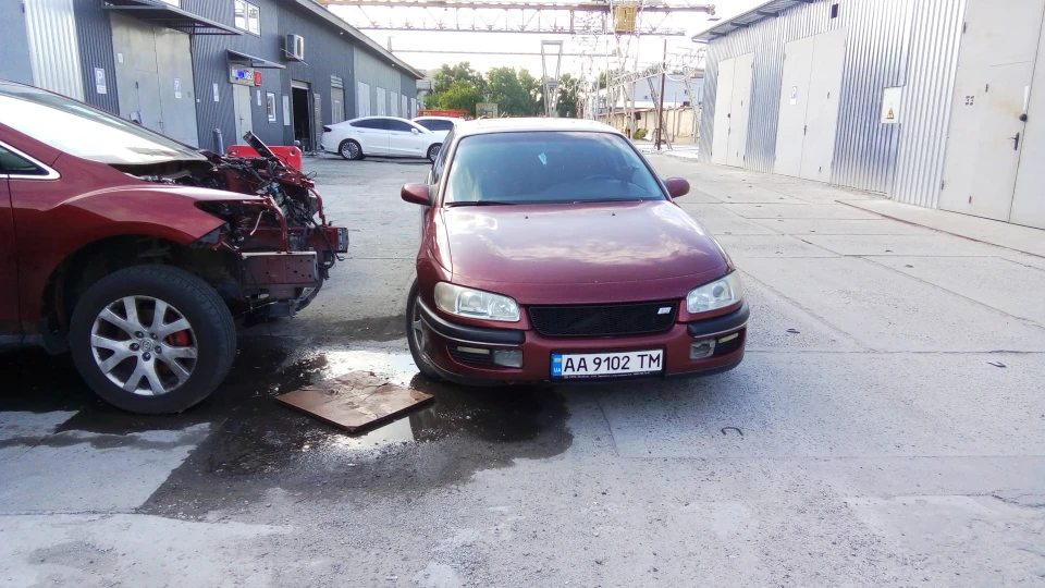 Opel Omega Вишневий звір 3