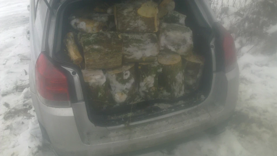 Opel Signum 2