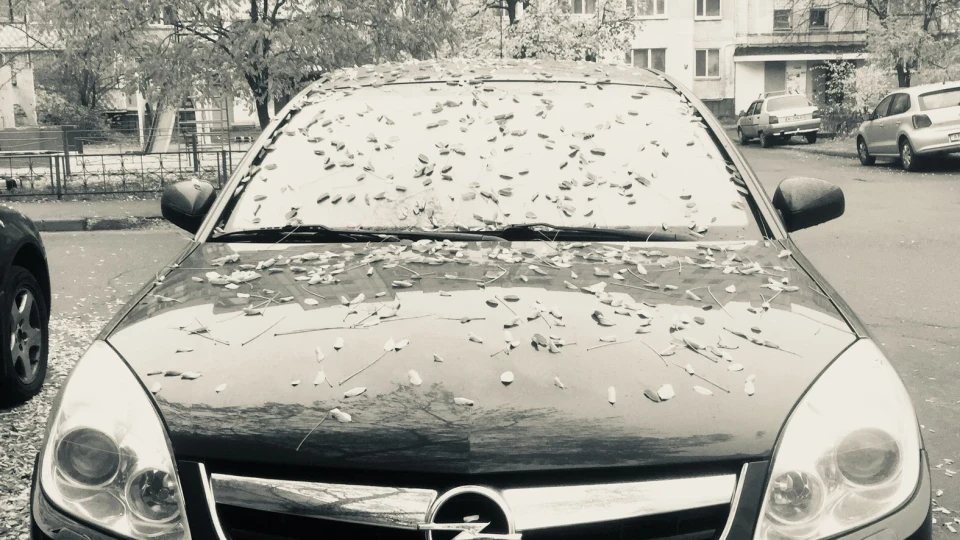 Opel Signum 2
