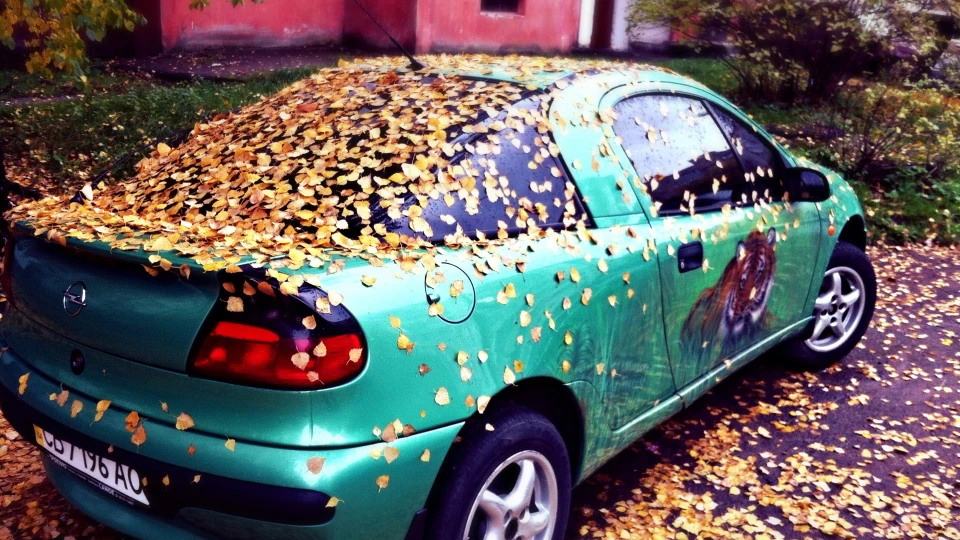 Opel Tigra 3