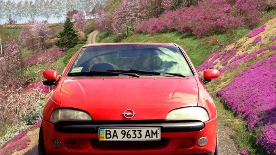 Opel Tigra ЧЕРВОНА КОШКА 5