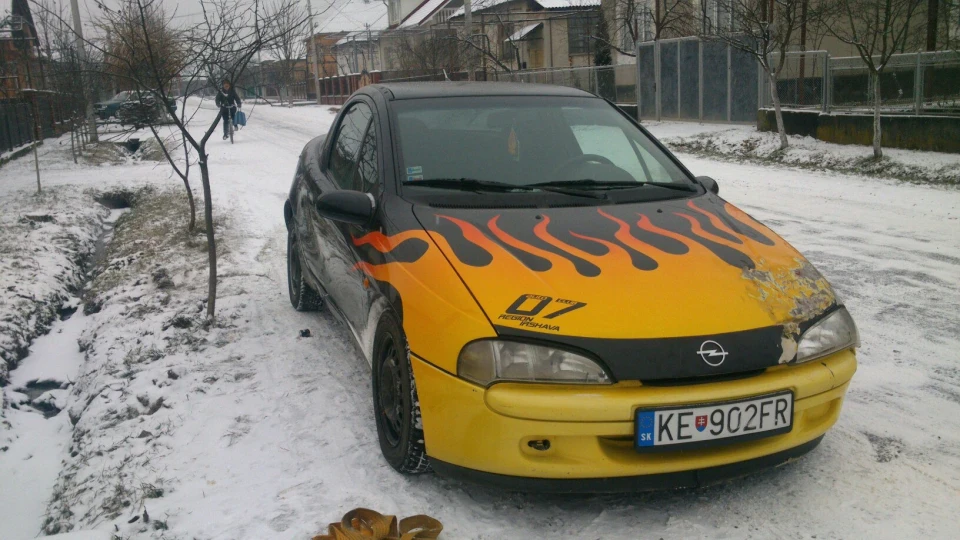 Opel Tigra Wheelbarrow Fire 2