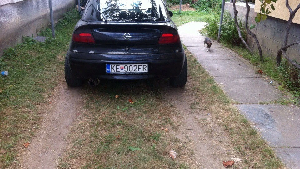 Opel Tigra Wheelbarrow Fire 4
