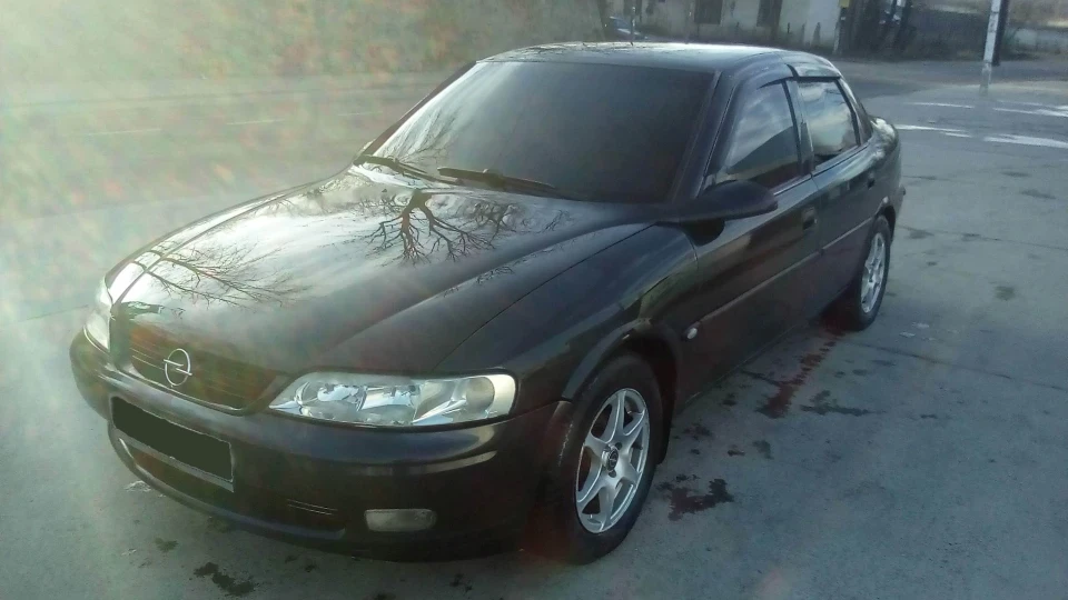 Opel Vectra "Black Shark" 2
