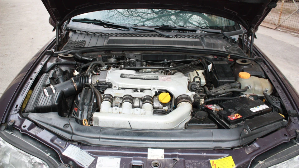 Opel Vectra Пугач 2.5 V6 5