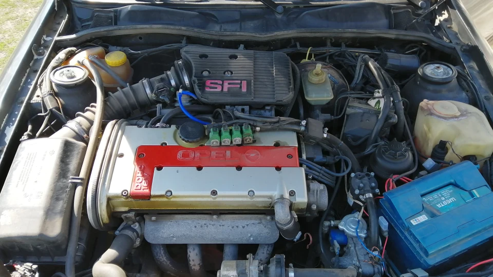 Opel Vectra Червоноголовий дракон 5