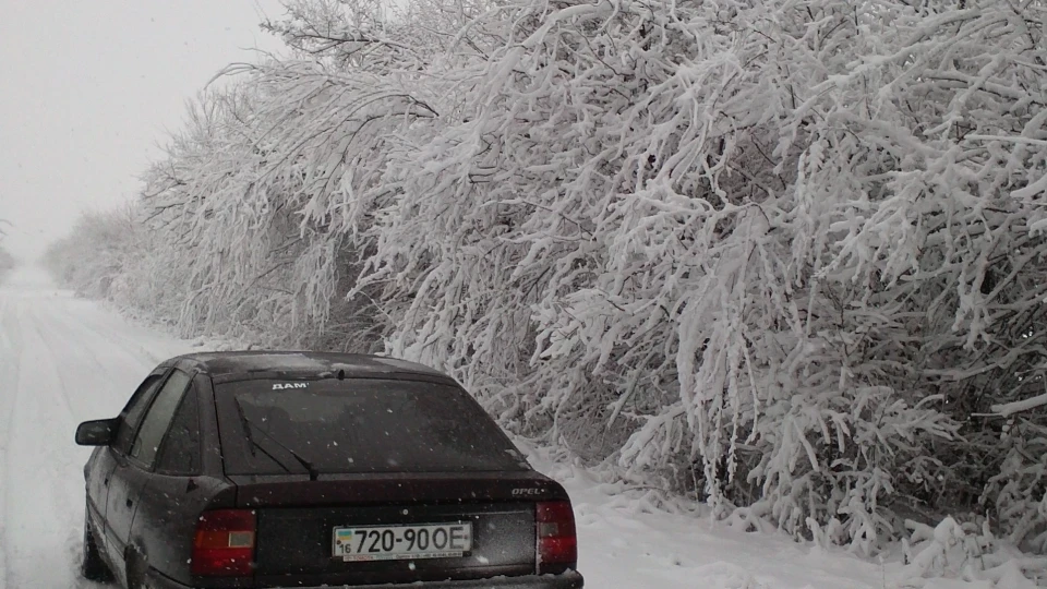 Opel Vectra металік 2