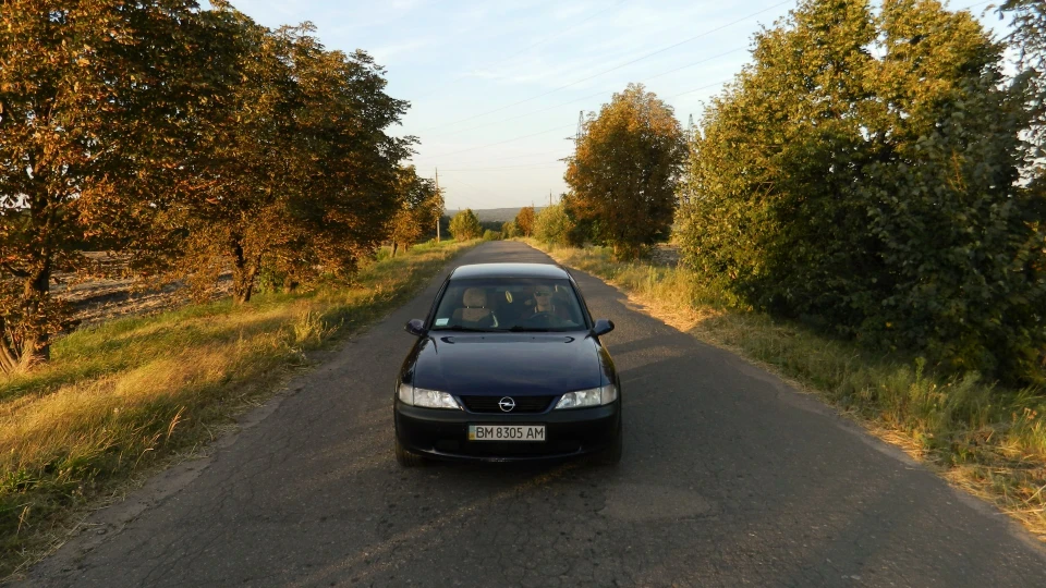Opel Vectra "royal blue" 3