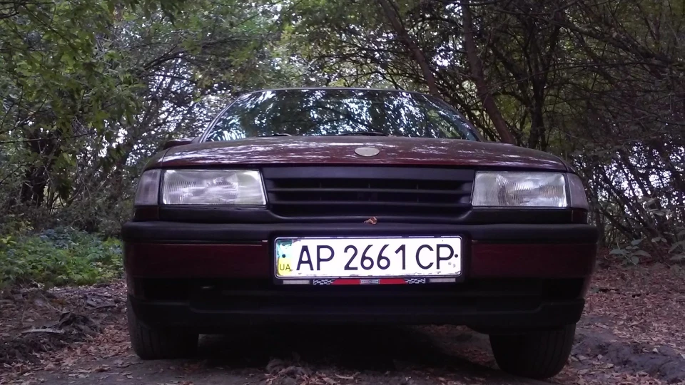 Opel Vectra рудий орел 3