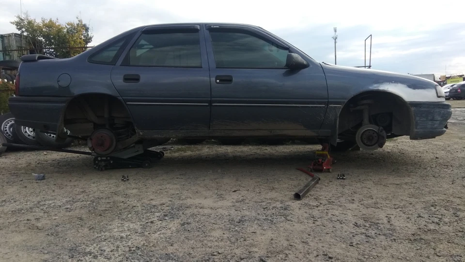 Opel Vectra Самець