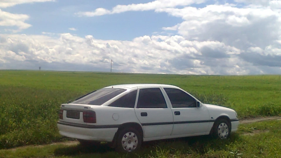 Opel Vectra Spitfire 5