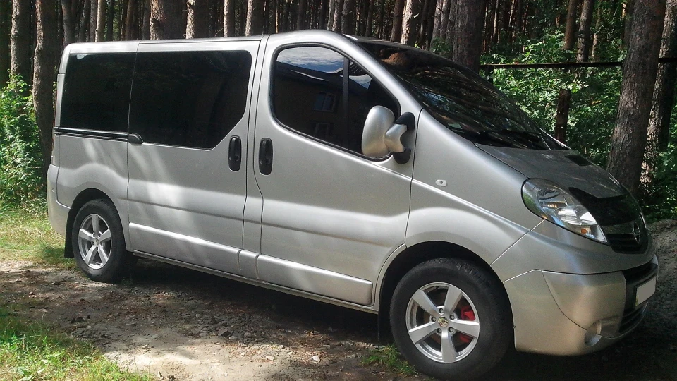 Opel Vivaro 1.9 dci СаблеZуб 3