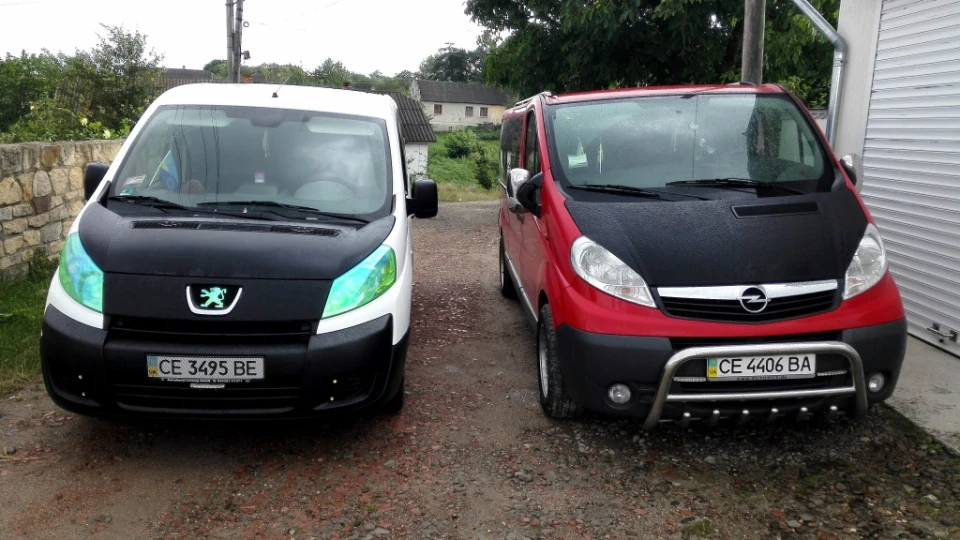 Opel Vivaro 2.0 Golovastik 3