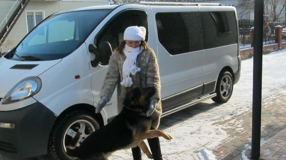 Opel Vivaro білий дракон 5