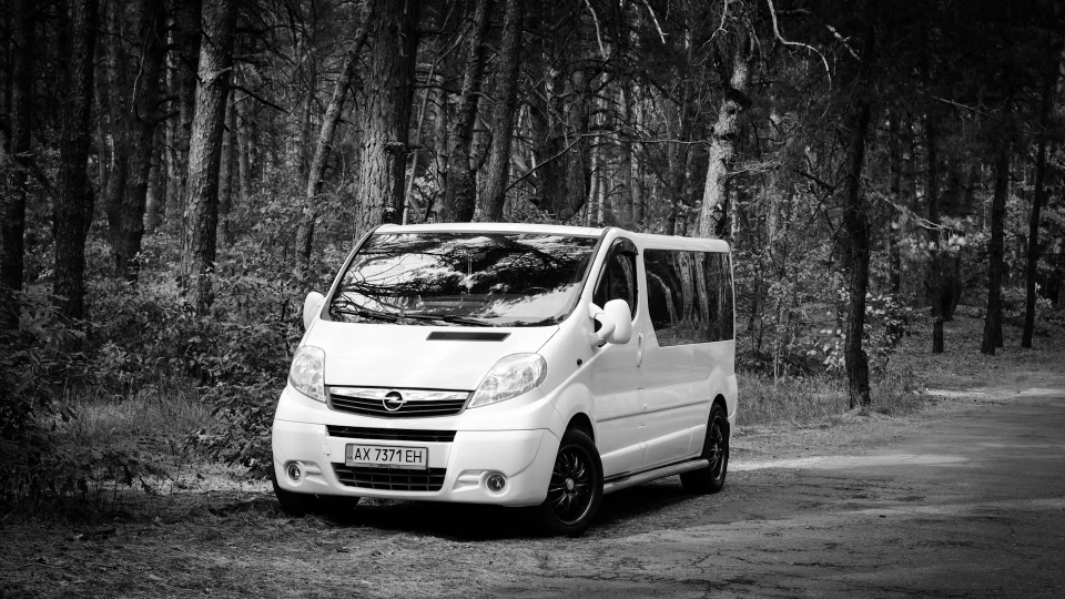 Opel Vivaro Карп-мобіль 2