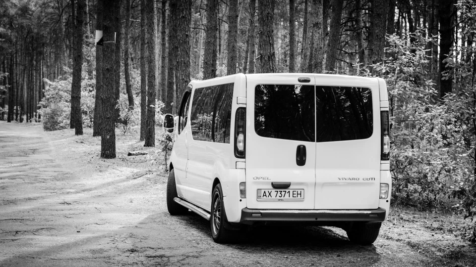 Opel Vivaro Карп-мобіль 4