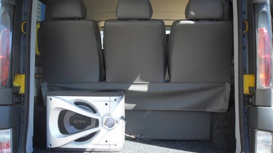 Opel Vivaro Бджілка 3