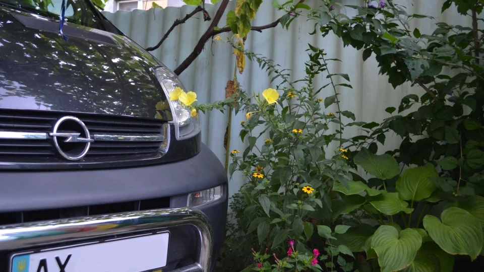 Opel Vivaro Симпатичний вагончик )