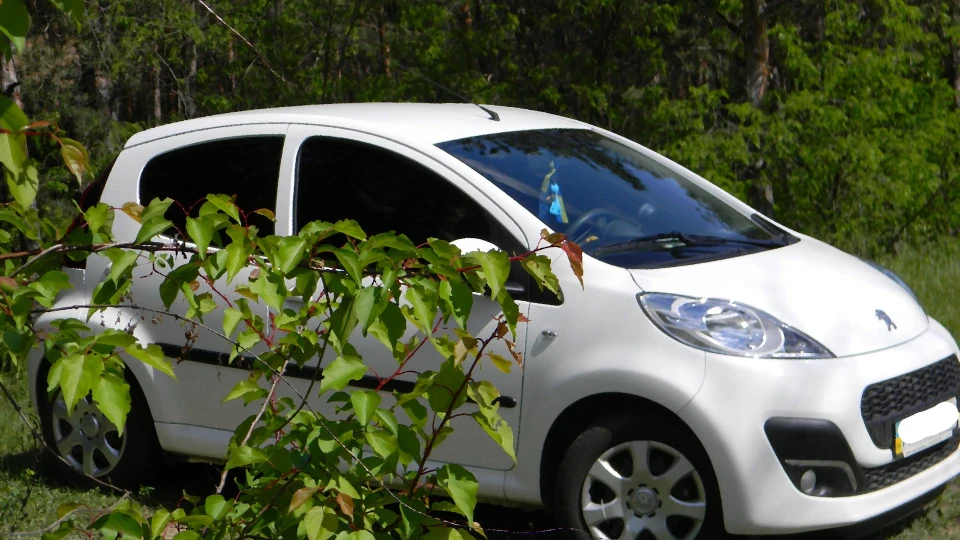 Peugeot 107 Мішель 2