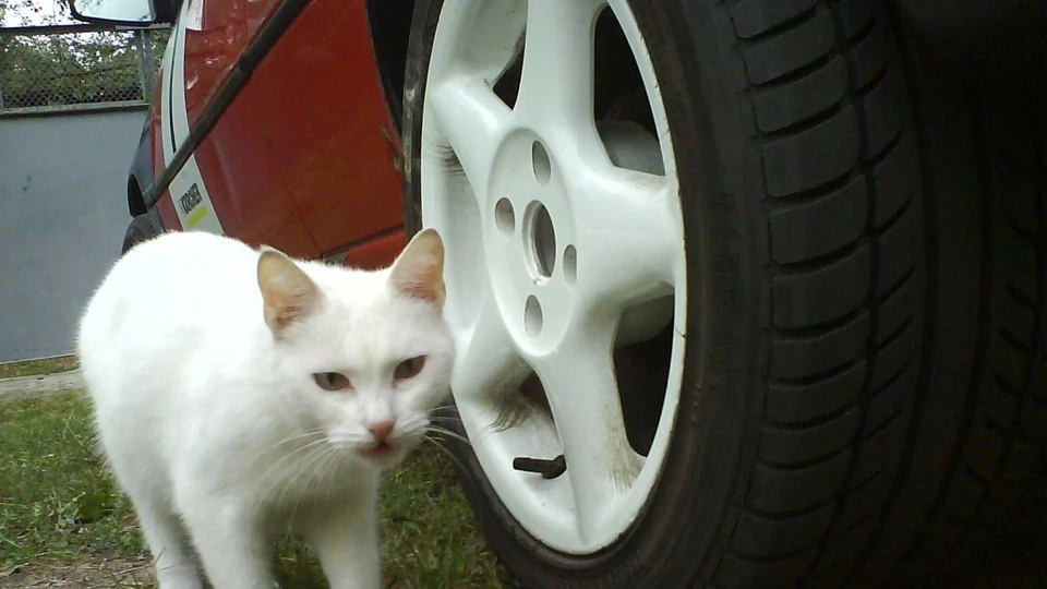 Peugeot 205 Буде Рейв) 2
