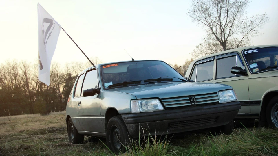 Peugeot 205 Економічний малюк