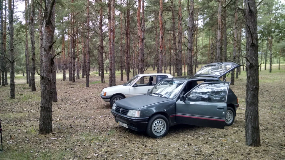 Peugeot 205 Лежак) 2