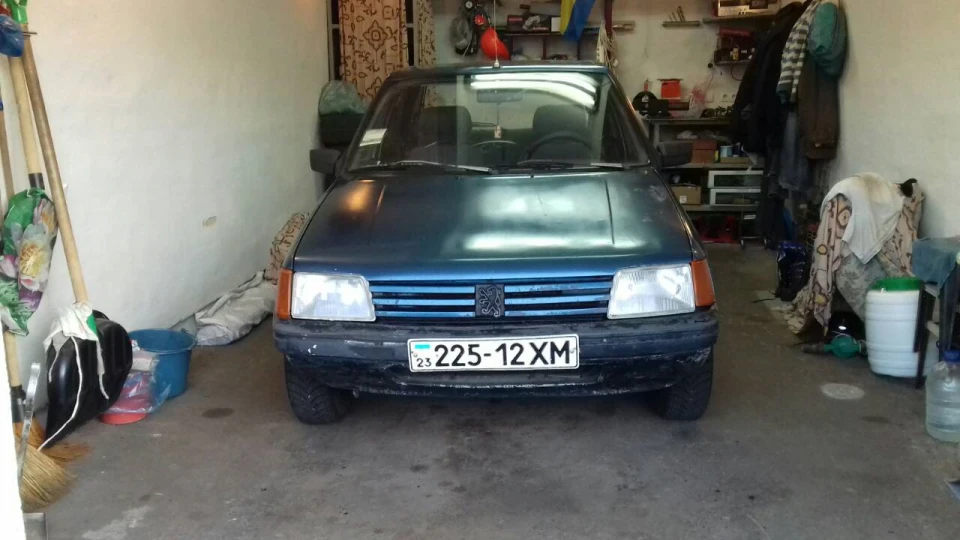 Peugeot 205 Маленький Дракон 5