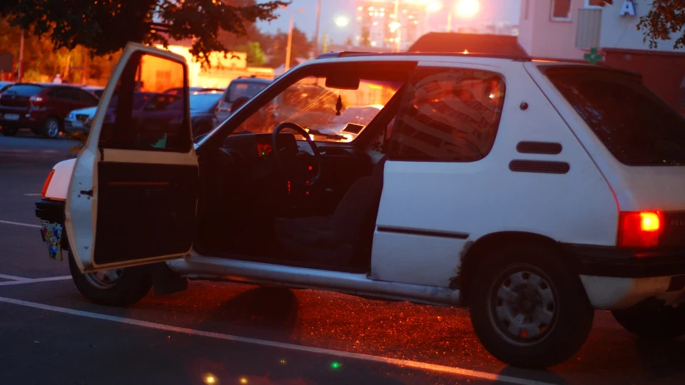 Peugeot 205 мікро-Леff 5
