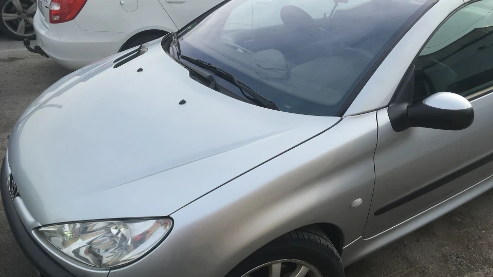 Peugeot 206 CC Жуж