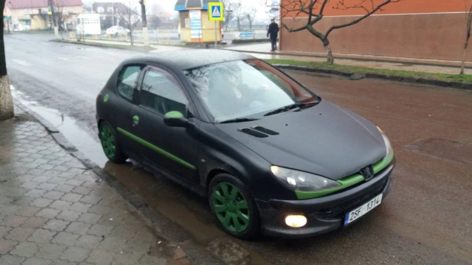 Peugeot 206 GTI пасулька