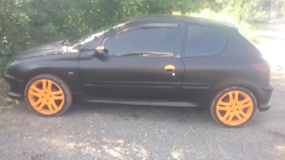 Peugeot 206 GTI пасулька 2