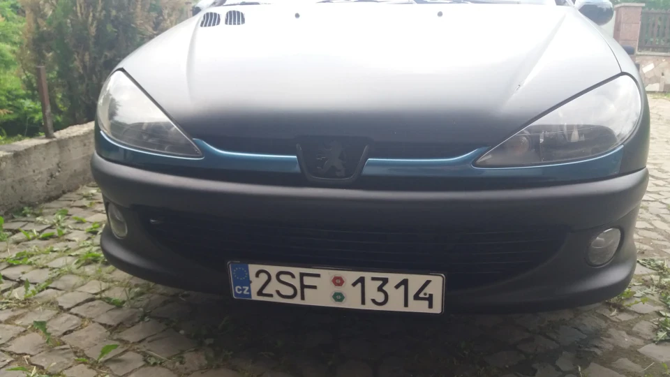 Peugeot 206 GTI пасулька 3