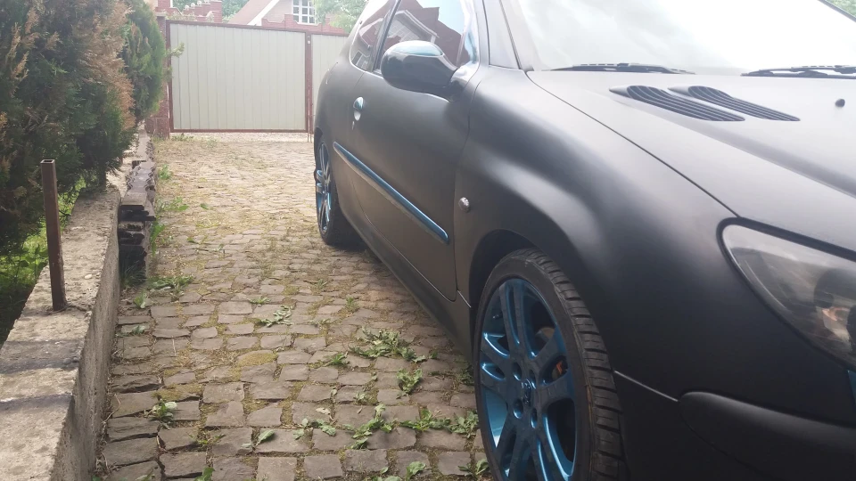 Peugeot 206 GTI пасулька 4