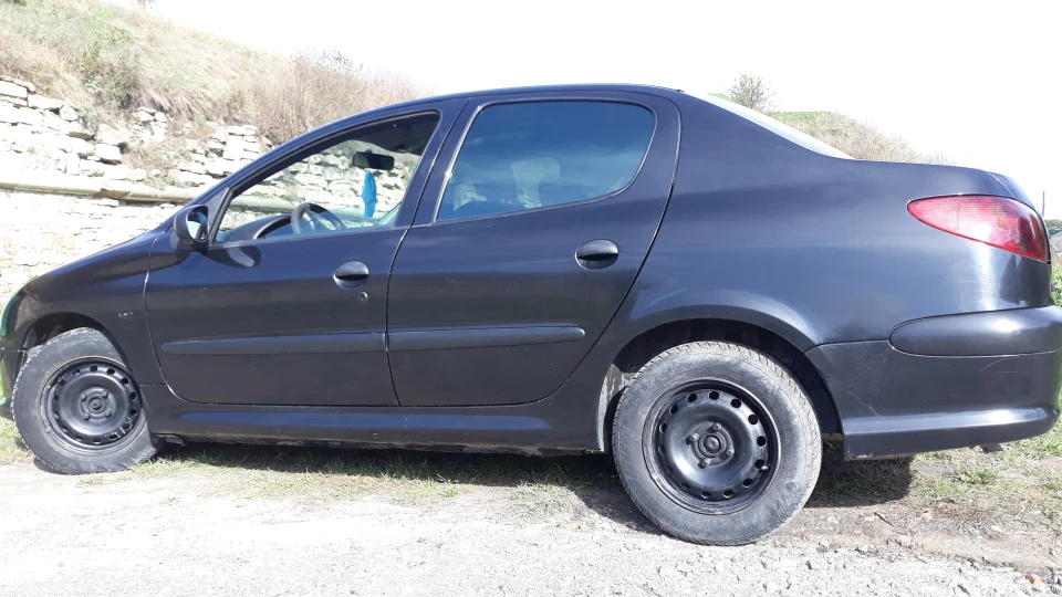 Peugeot 206 Sedan Чорнуха 3