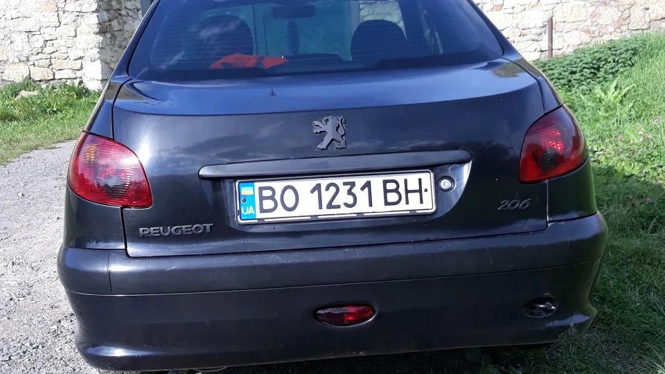 Peugeot 206 Sedan Чорнуха 4