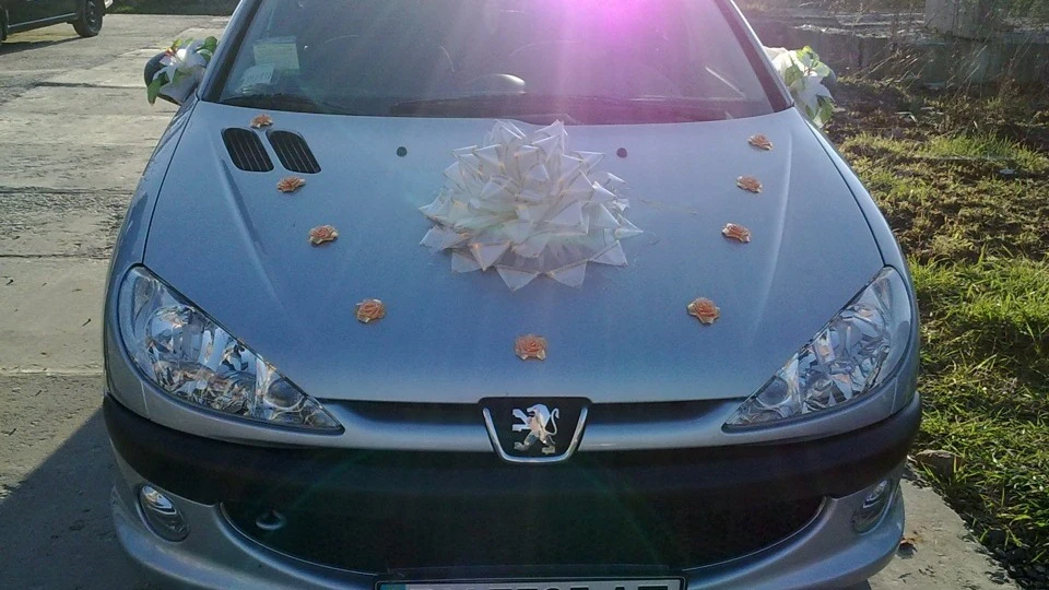 Peugeot 206 Sedan Мишка