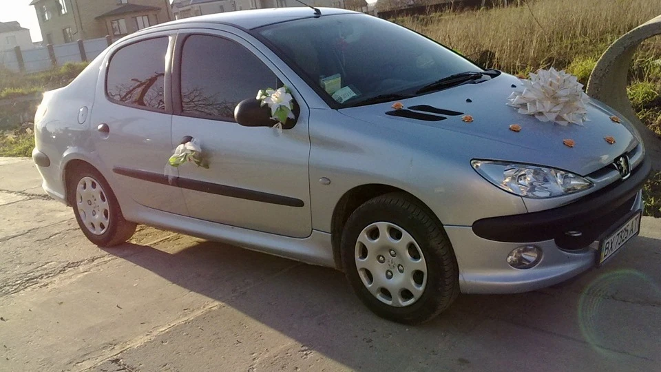 Peugeot 206 Sedan Мишка 2