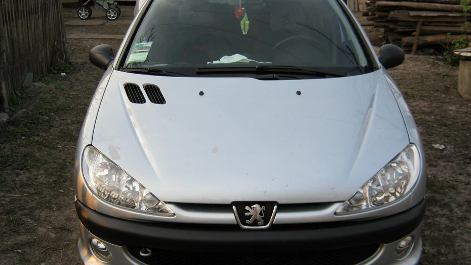 Peugeot 206 Sedan Мишка 3