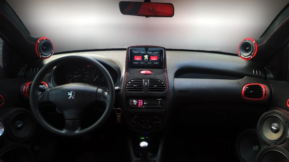 Peugeot 206 Sedan Сірий Звірятко