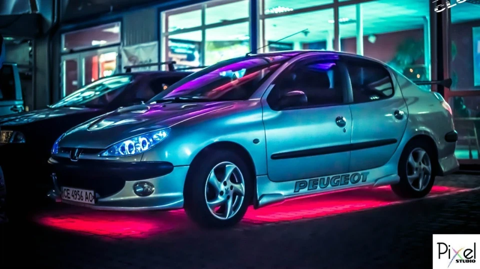 Peugeot 206 Sedan Сірий Звірятко 4