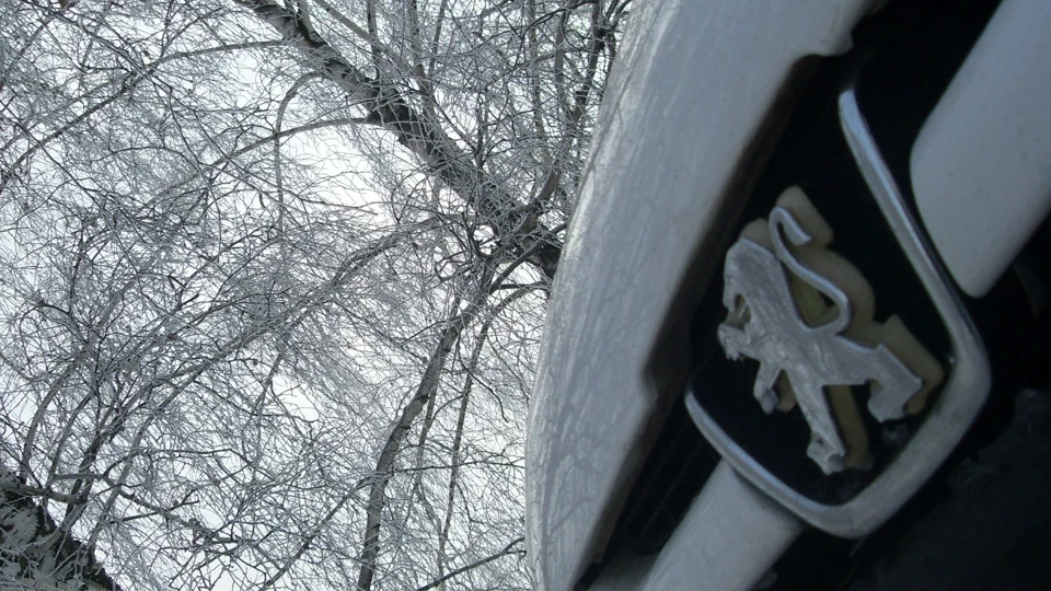 Peugeot 206 5