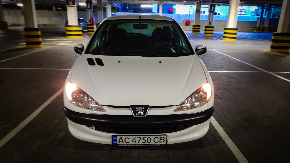Peugeot 206 1.4 пижик 2