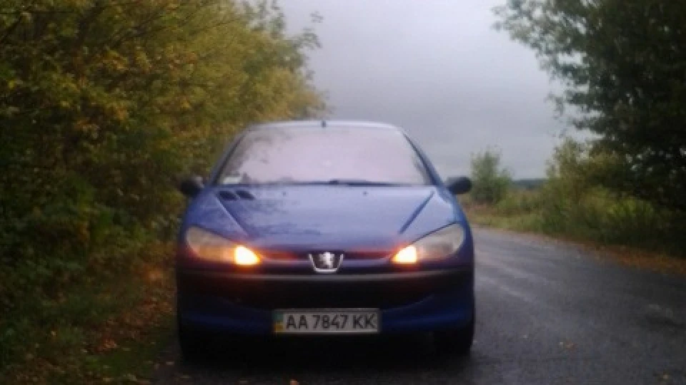 Peugeot 206 1.9D un tracteur françai 4