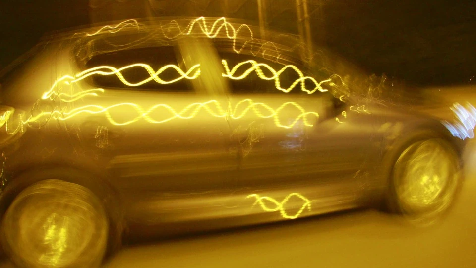 Peugeot 206 Beauté 3