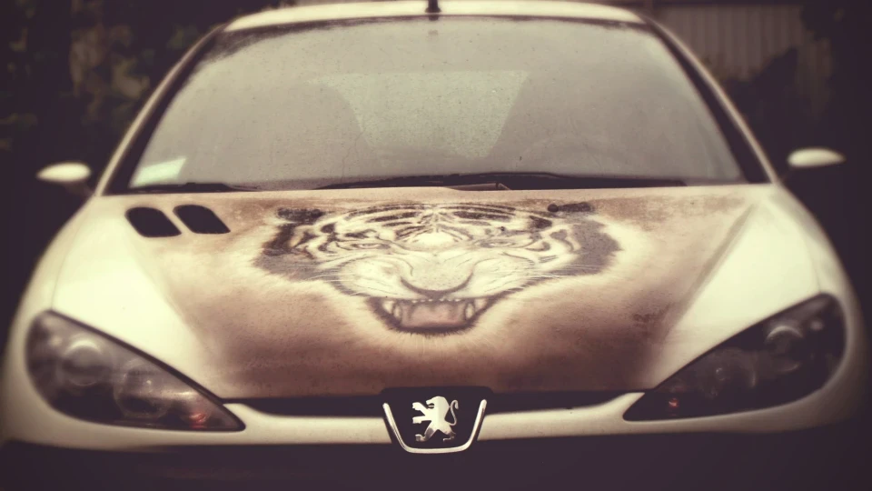 Peugeot 206 Бенгальський Тигр 2