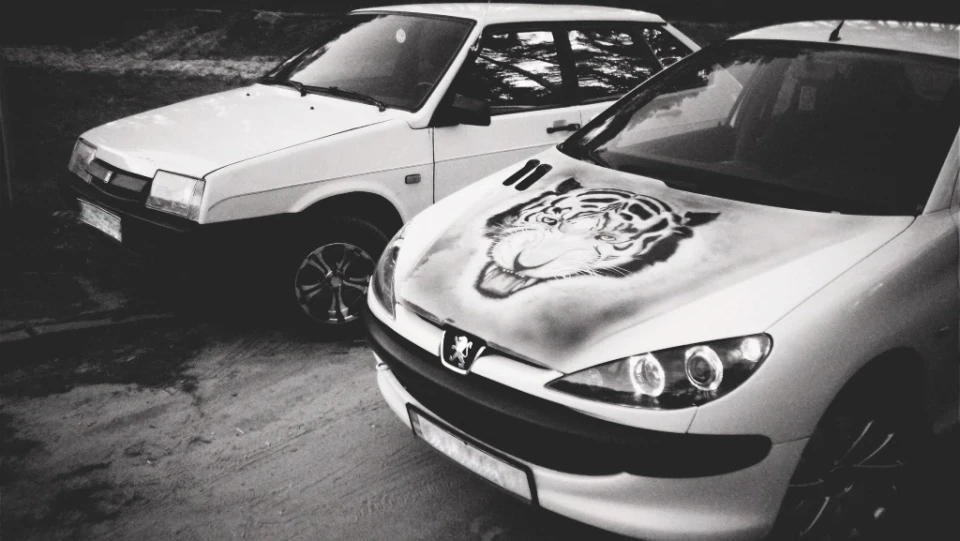 Peugeot 206 Бенгальський Тигр 3